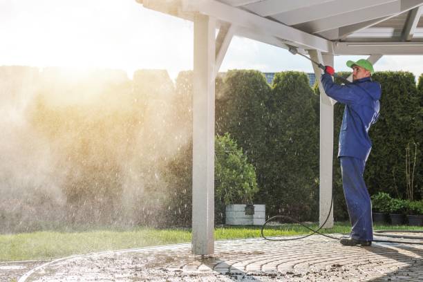 Best Paint Preparation  in Springfield, KY